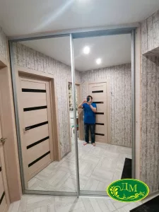 Двери купе 17 с зеркалом